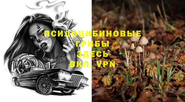 дурь Абинск