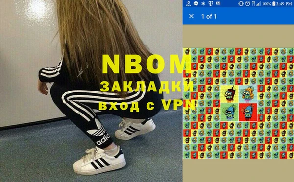 индика Алексеевка